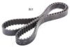 ASHIKA 40-08-801 Timing Belt